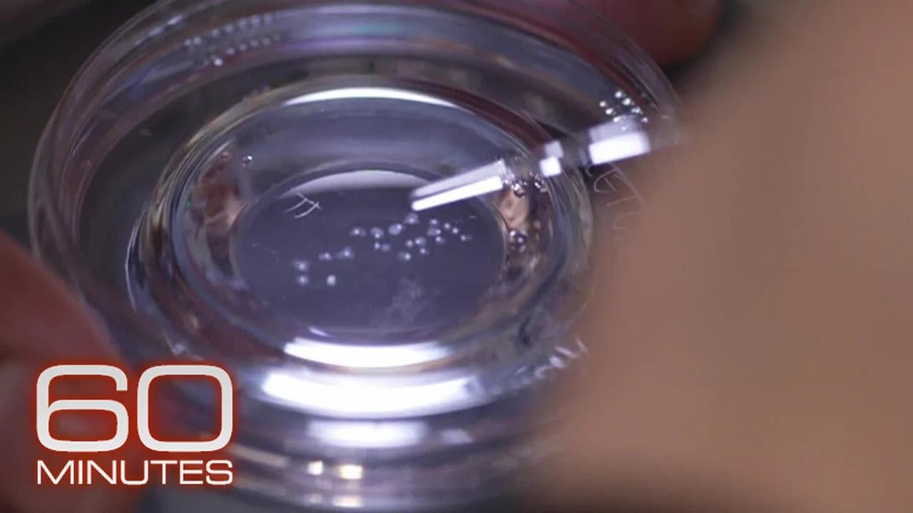 The ins and outs of egg freezing | 60 Minutes Archive