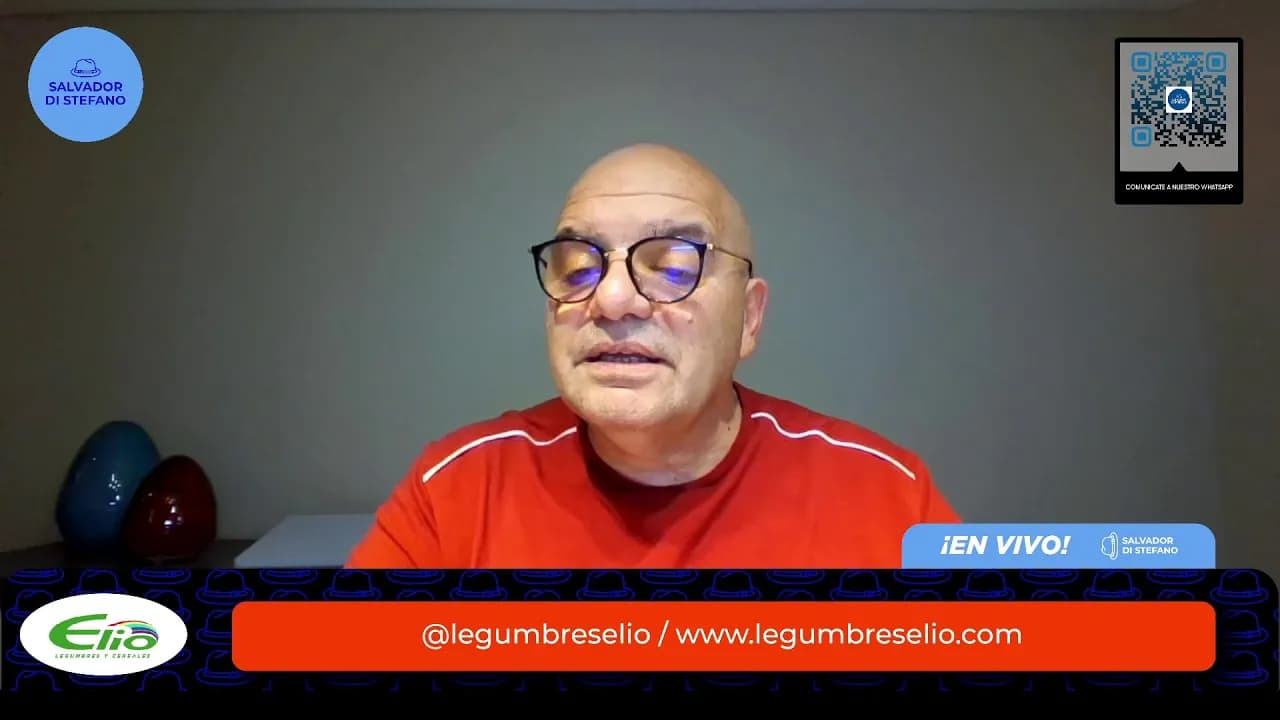 Domingo de VIVO