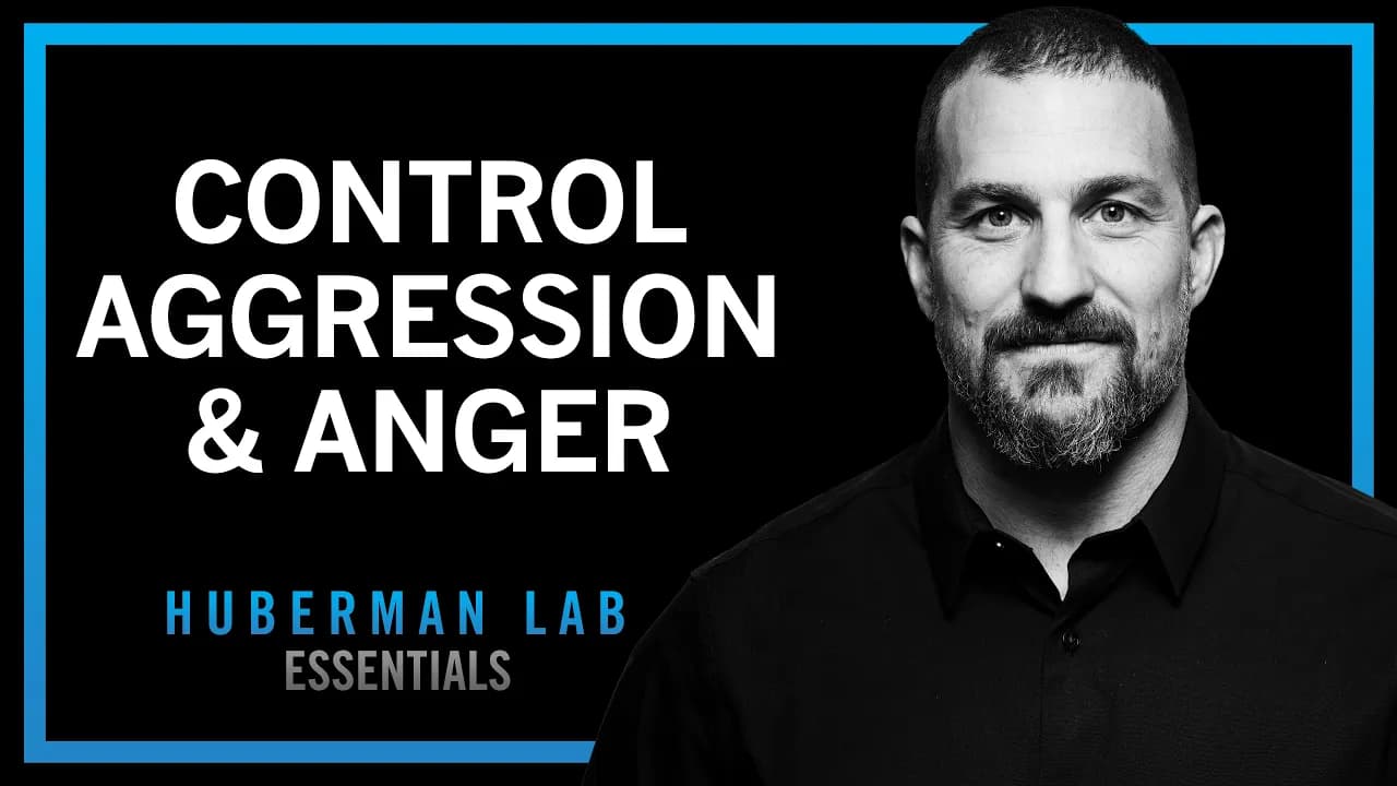 Understanding & Controlling Aggression | Huberman Lab Essentials