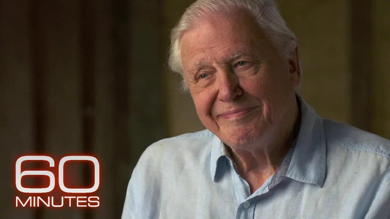 Sir David Attenborough | 60 Minutes Archive