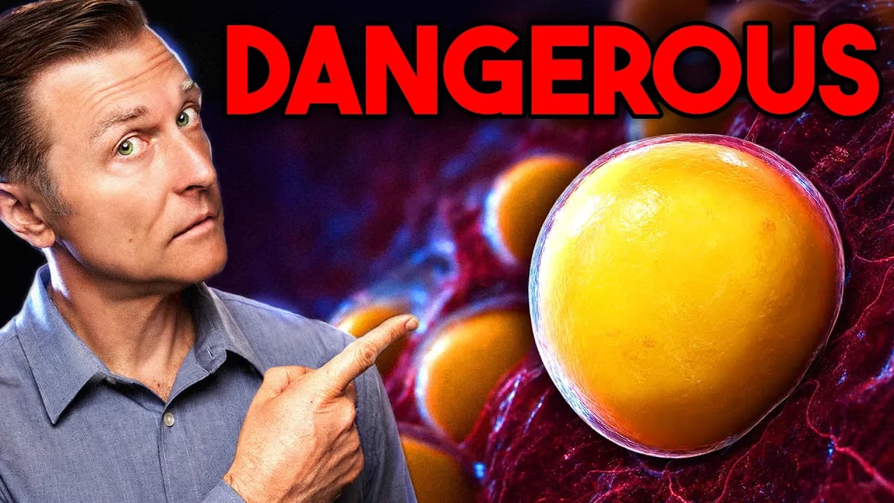 You Will NEVER Consume Seed Oils Again After Watching This