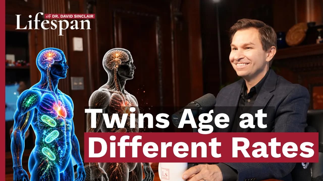 Why We Age | Lifespan with Dr. David Sinclair - S2, Ep. 7