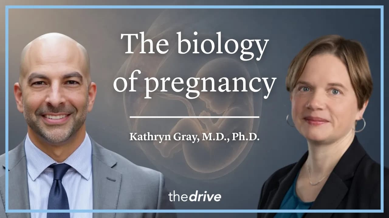 410 ‒ The biology of pregnancy: physiologic adaptation, childbirth, and long-term maternal health