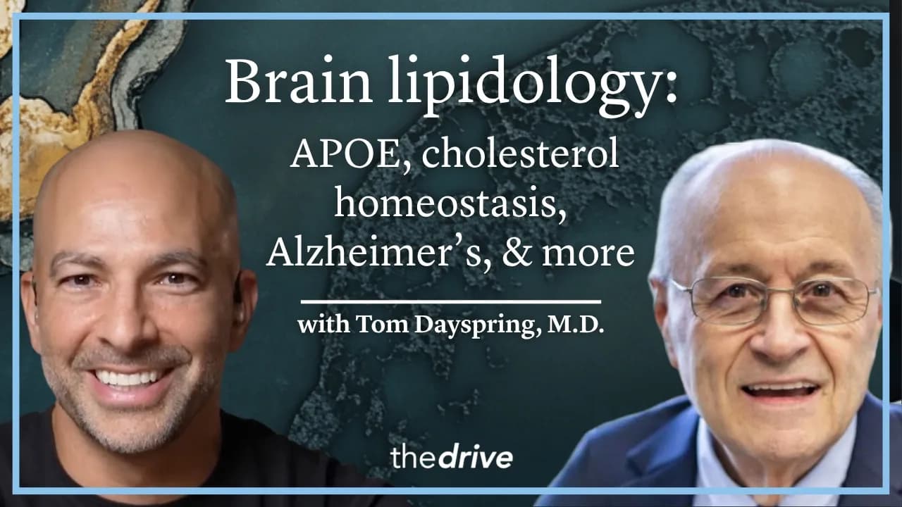 395 – Brain lipidology: understanding APOE, cholesterol homeostasis, Alzheimer’s disease, & more