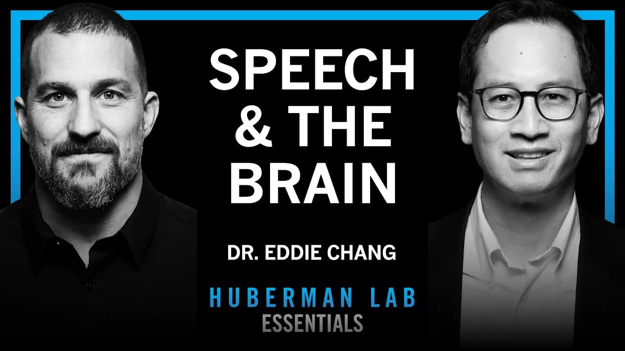 Essentials: The Science of Learning & Speaking Languages | Dr. Eddie Chang
