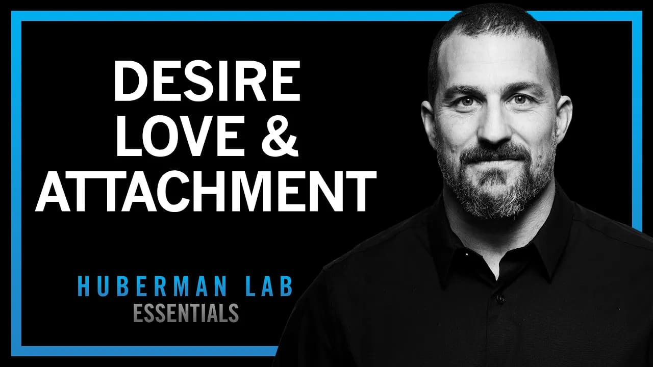 The Science of Love, Desire & Attachment | Huberman Lab Essentials