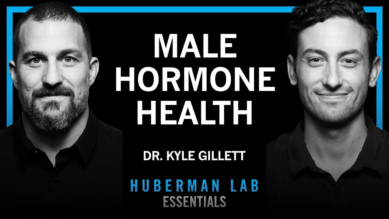 Essentials: Tools for Hormone Optimization in Males | Dr. Kyle Gillett