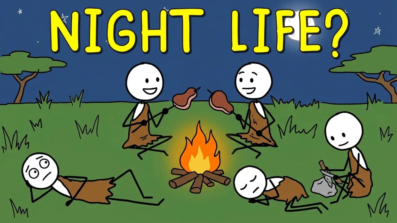 What Did Ancient Humans Actually Do All Night?