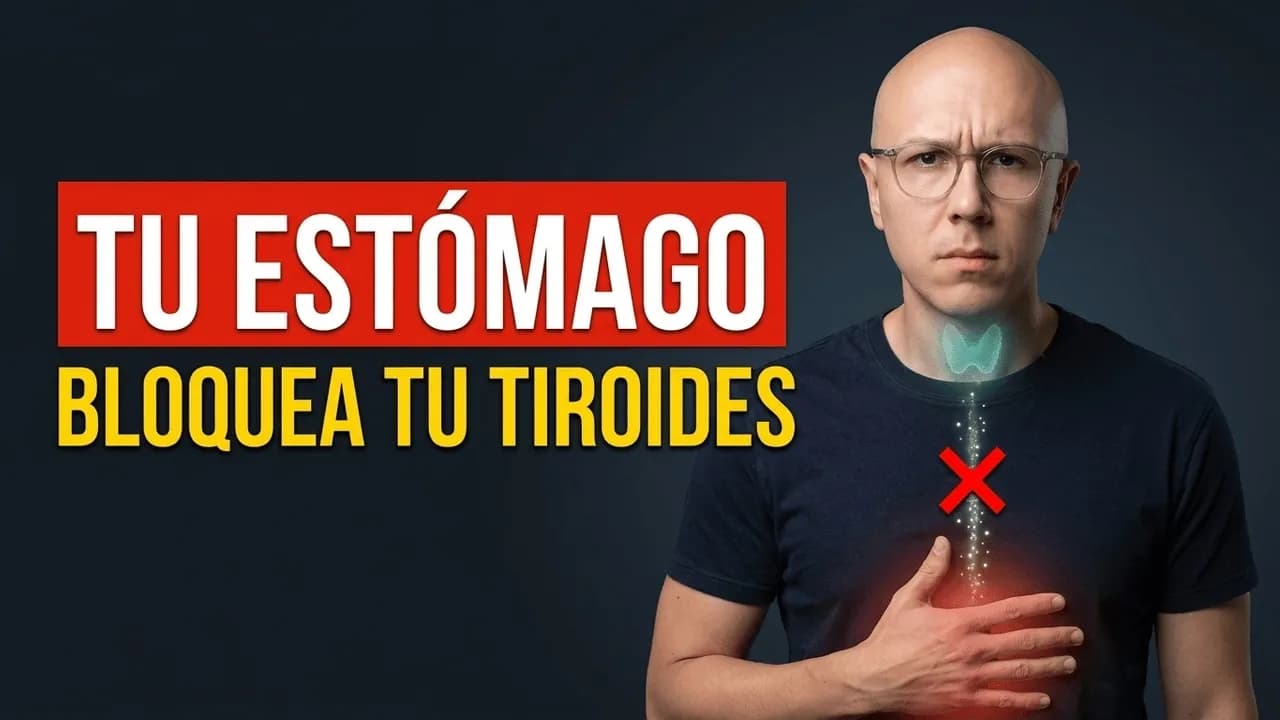 Los 10 nutrientes que tu tiroides necesita y que no estás asimilando