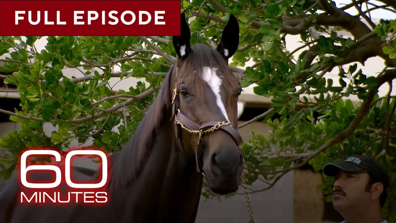Horse Stories | 60 Minutes Full Episodes