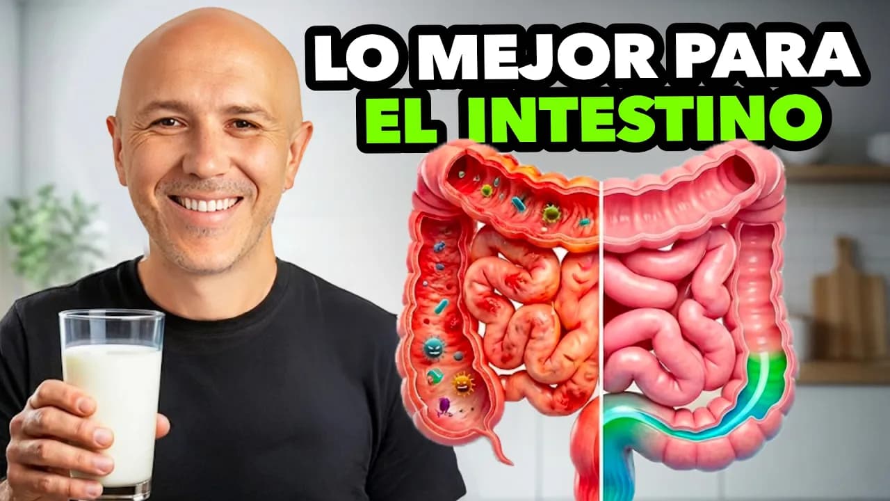 El CALOSTRO BOVINO Puede Ser Tu Solución Para No Volver A Sufrir En Tu DIGESTIÓN