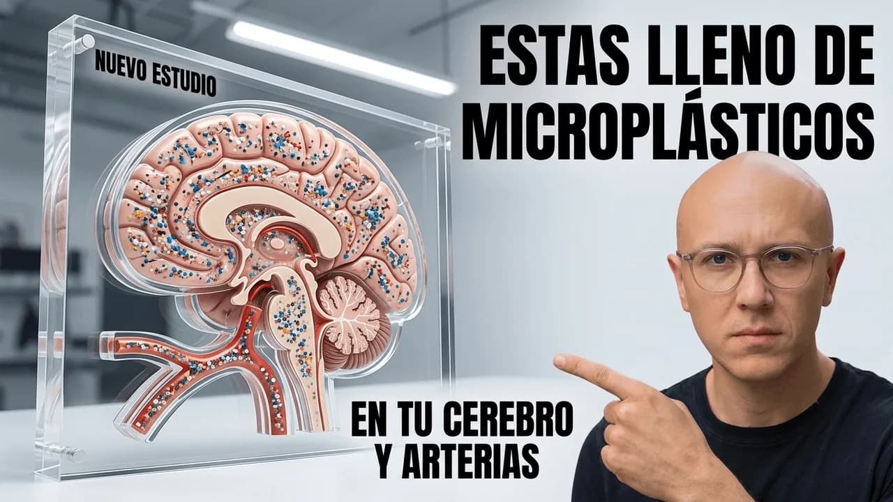 El Estudio Más Alarmante De 2026: Microplásticos En Cada Cerebro Humano | Esto Es Lo Que Debes Saber