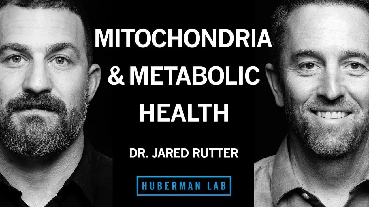 How Mitochondria Control Your Metabolism | Dr. Jared Rutter