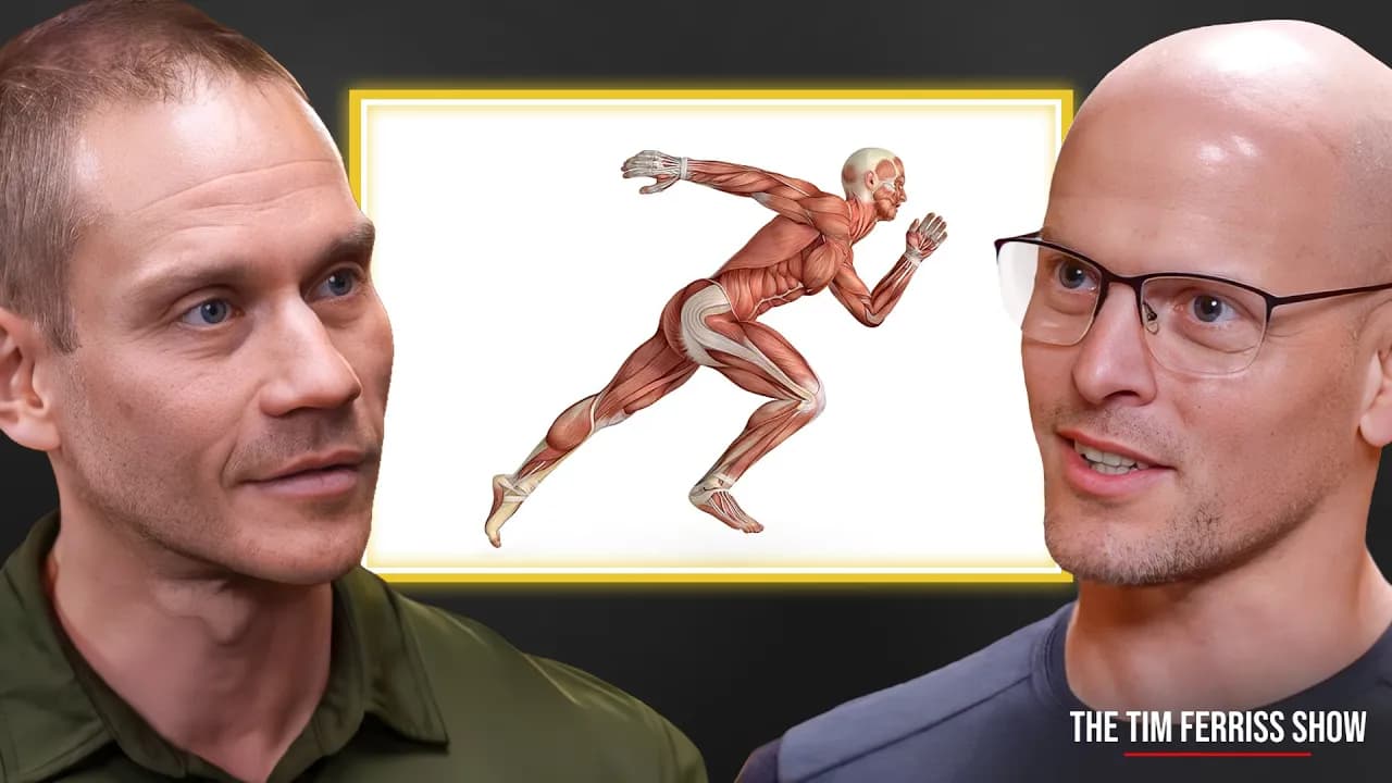 Neuroscientist Ranks The Top Types of Exercise for Brain Health — Dr. Tommy Wood