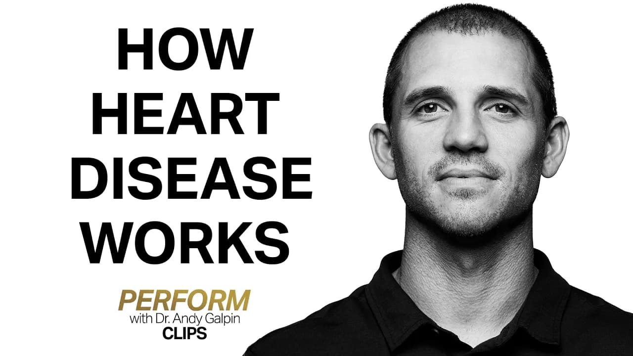 How Heart Disease Works & What Causes It | Dr. Andy Galpin