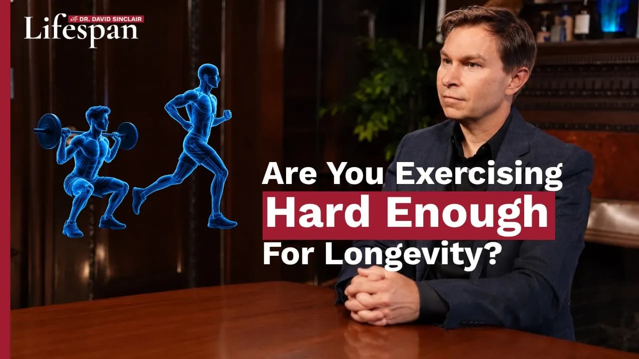 Why Exercise Slows Aging | Lifespan with Dr. David Sinclair - S2, Ep. 6