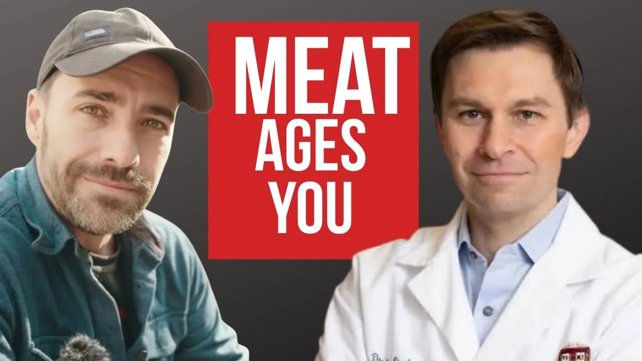 Harvard Professor Says Carnivore AGES You!