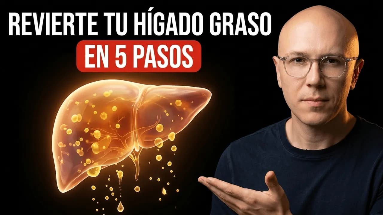 Tu Plan De 5 Pasos Para Revertir El Hígado Graso Desde Casa