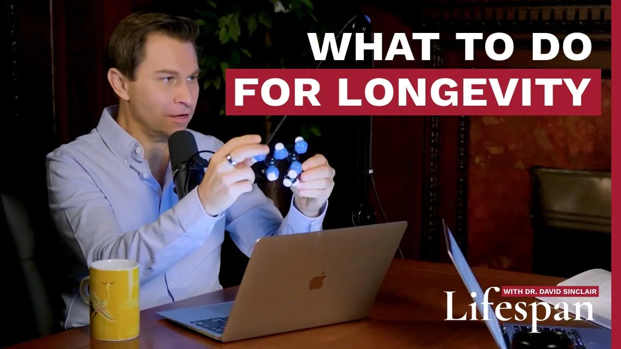 What To Do For Longevity | Lifespan with Dr. David Sinclair Rewind Episode