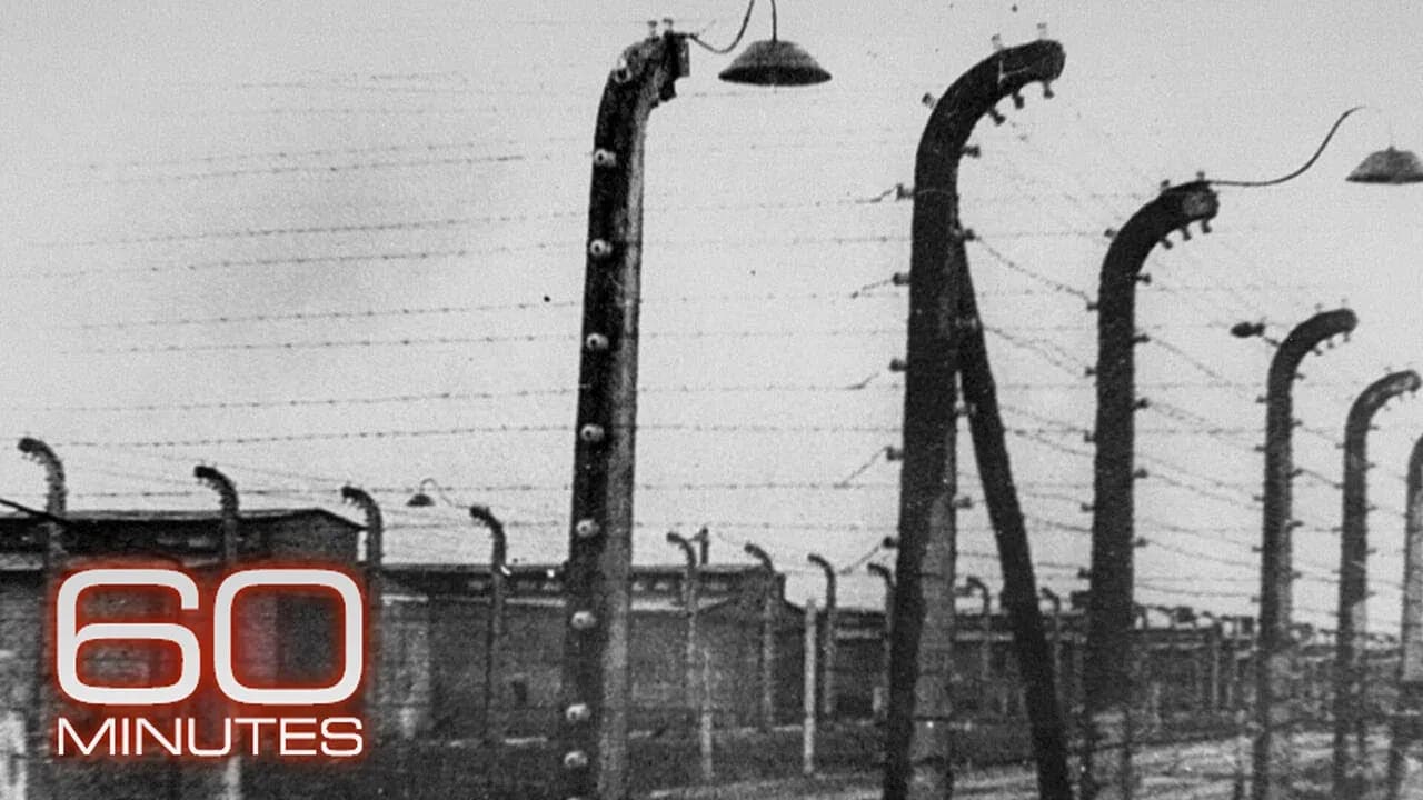 The Holocaust's youngest survivors: Born in a labor camp, on a death train, in a concentration camp