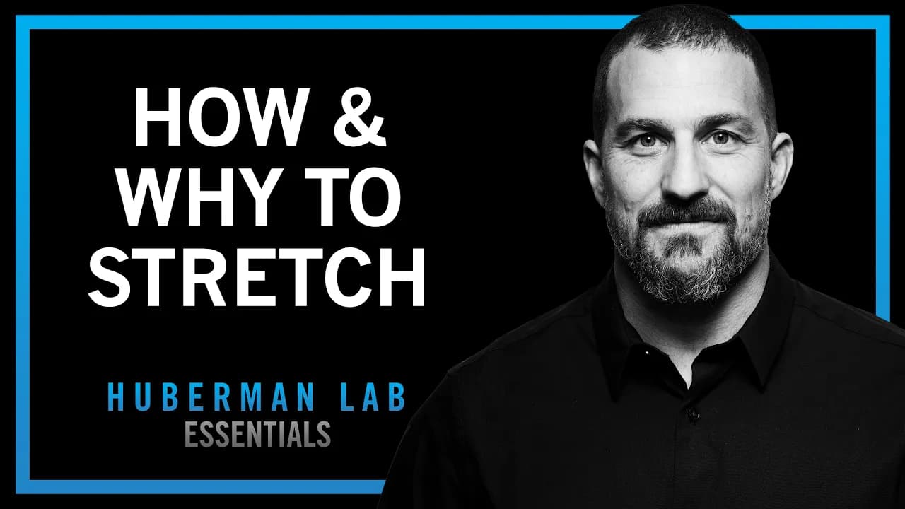 Improve Flexibility with Research-Supported Stretching Protocols | Huberman Lab Essentials