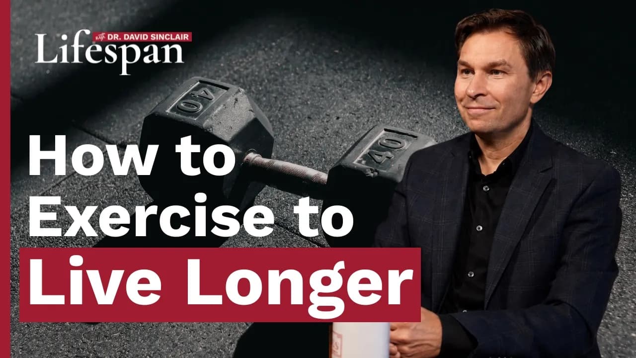 How to Exercise to Live Longer | Lifespan with Dr. David Sinclair - S2, Ep. 5