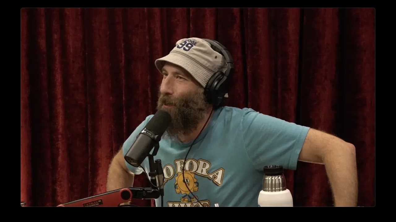 Joe Rogan Experience #2492 - Ari Shaffir
